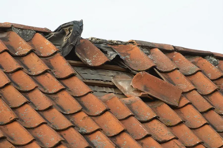 Gratis tips voor dakonderhoud